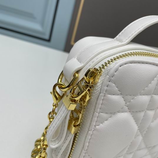 Dior Caro 17.5x5.5x13cm ww3色 (5)