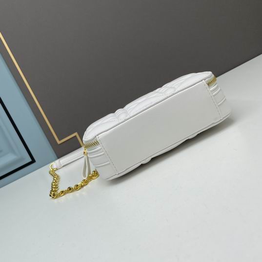 Dior Caro 17.5x5.5x13cm ww3色 (6)