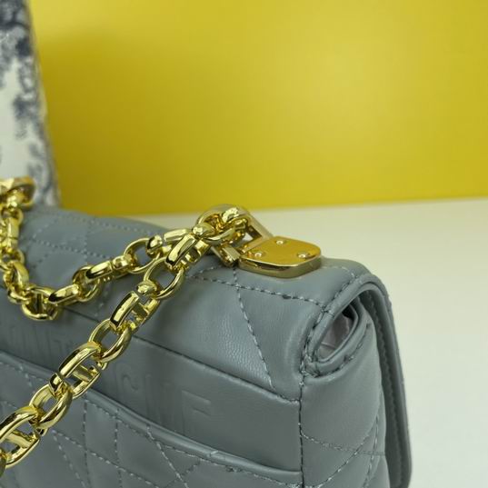 Dior Caro 2086 20x12x7cm ww4色 (21)