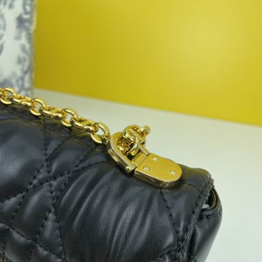 Dior Caro 2086 20x12x7cm ww4色 (29)