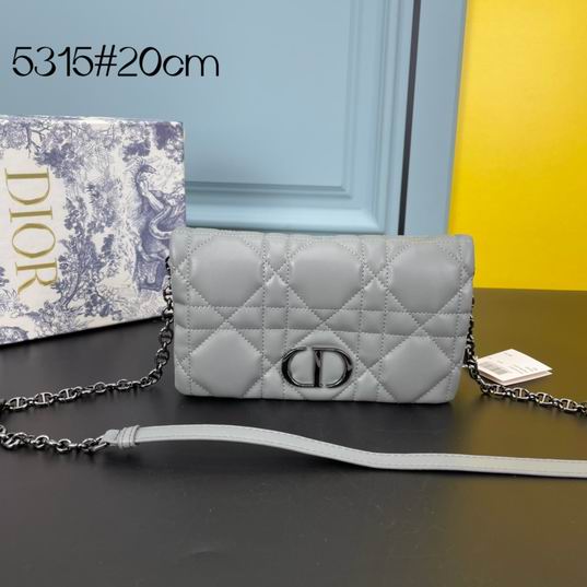 Dior Caro 5315 19.5x11x6.5cm ww (1)