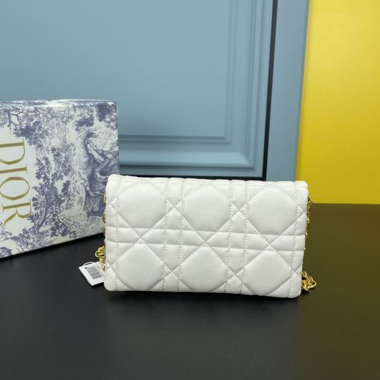 Dior Caro 5315 19.5x11x6.5cm ww (11)
