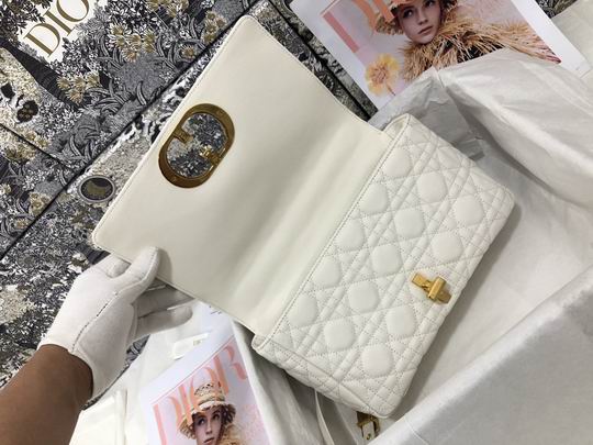 Dior Caro M9242 25.5x15.5x8cm CN4色 (24)