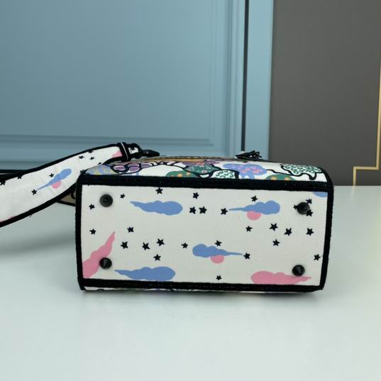 Dior Lady 1295 24x20x11cm ww (11)
