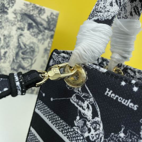 Dior Lady 1295 24x20x11cm ww (21)