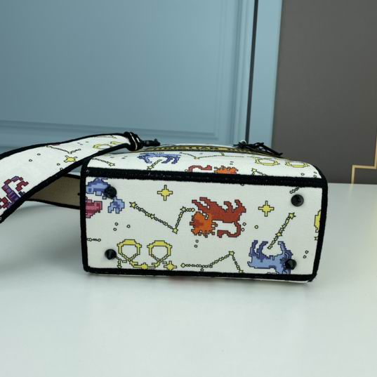 Dior Lady 1295 24x20x11cm ww (28)