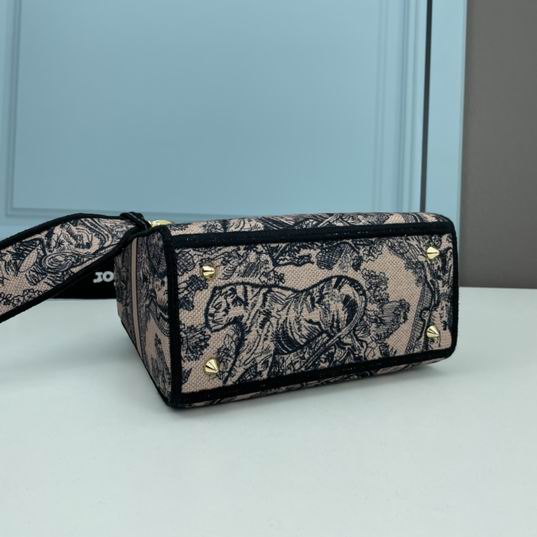 Dior Lady 1295 24x20x11cm ww4色 (4)