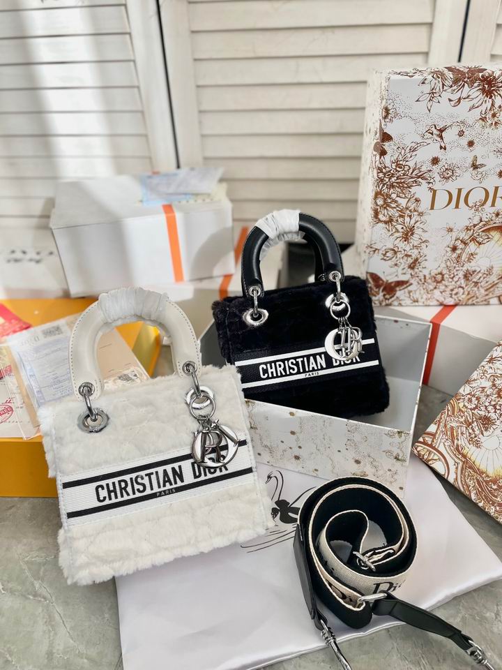 Dior Lady 19x17cm CN (1)