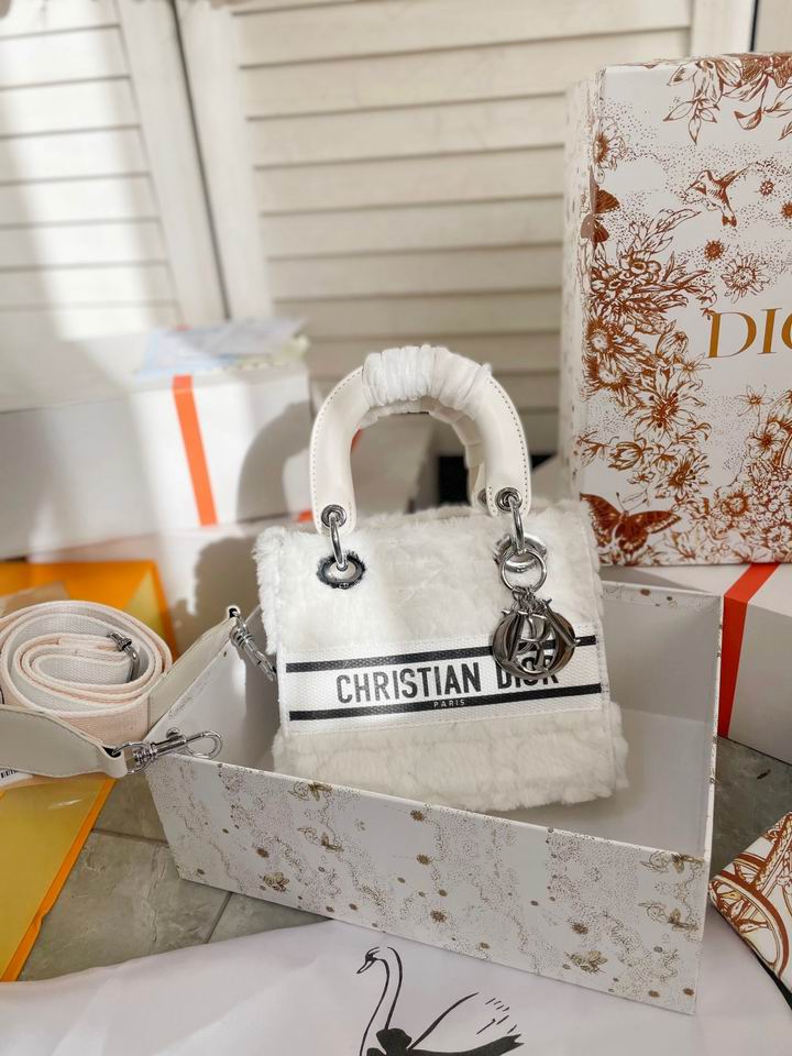 Dior Lady 19x17cm CN (2)