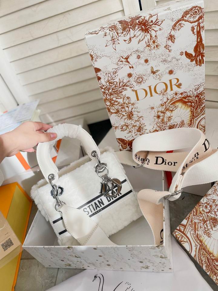 Dior Lady 19x17cm CN (4)
