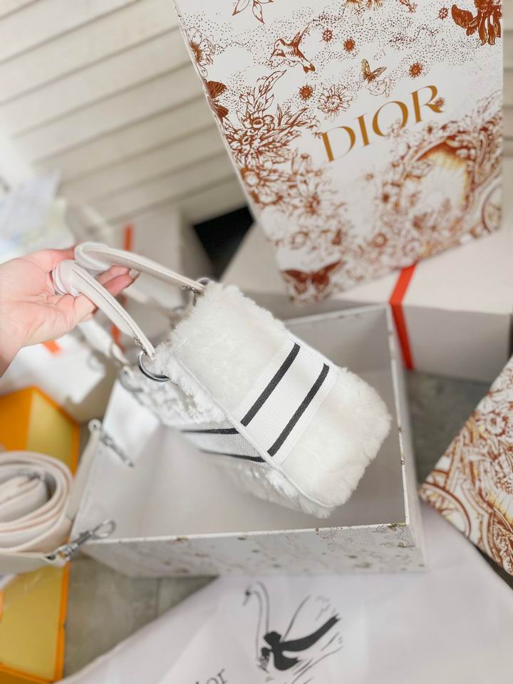 Dior Lady 19x17cm CN (5)
