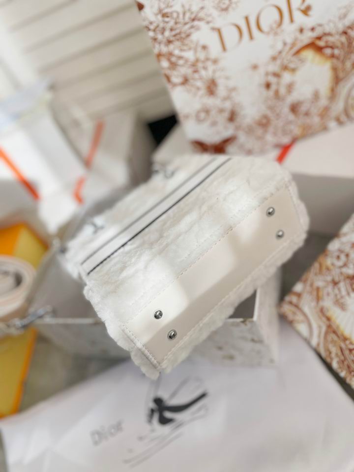 Dior Lady 19x17cm CN (7)