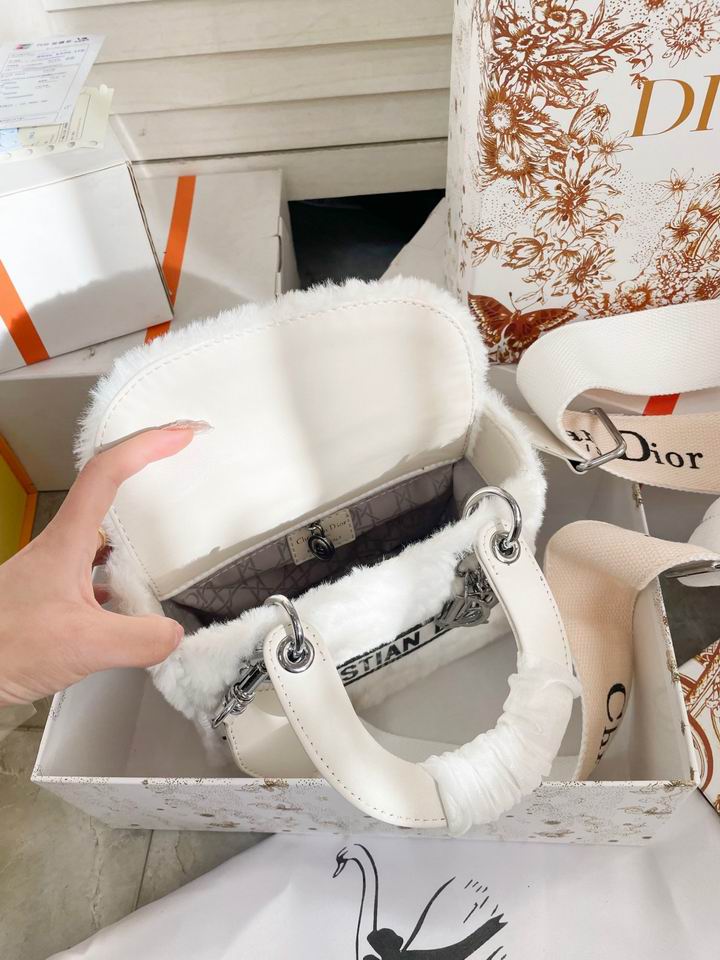 Dior Lady 19x17cm CN (9)