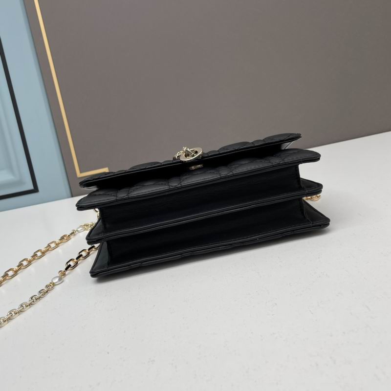 Dior Lady 21x11.5x4.5cm ww5色 (12)