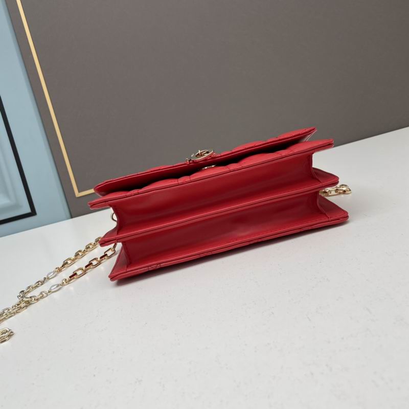 Dior Lady 21x11.5x4.5cm ww5色 (20)