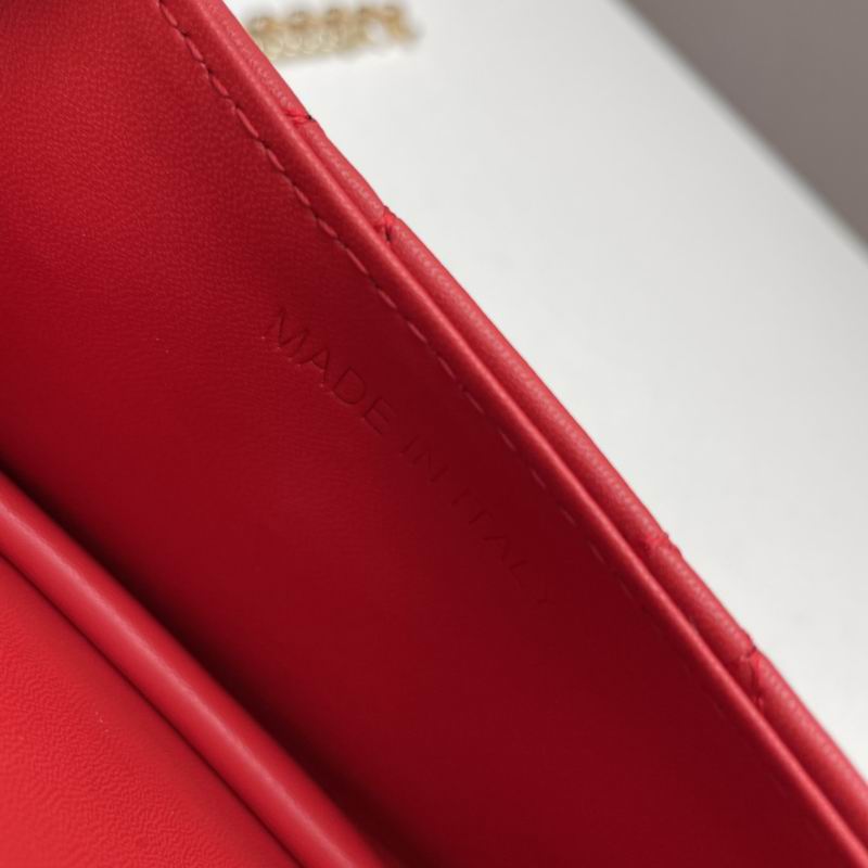 Dior Lady 21x11.5x4.5cm ww5色 (23)