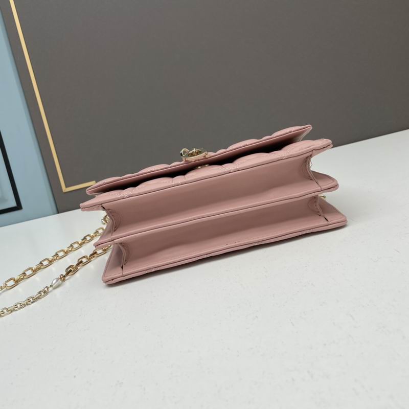 Dior Lady 21x11.5x4.5cm ww5色 (28)