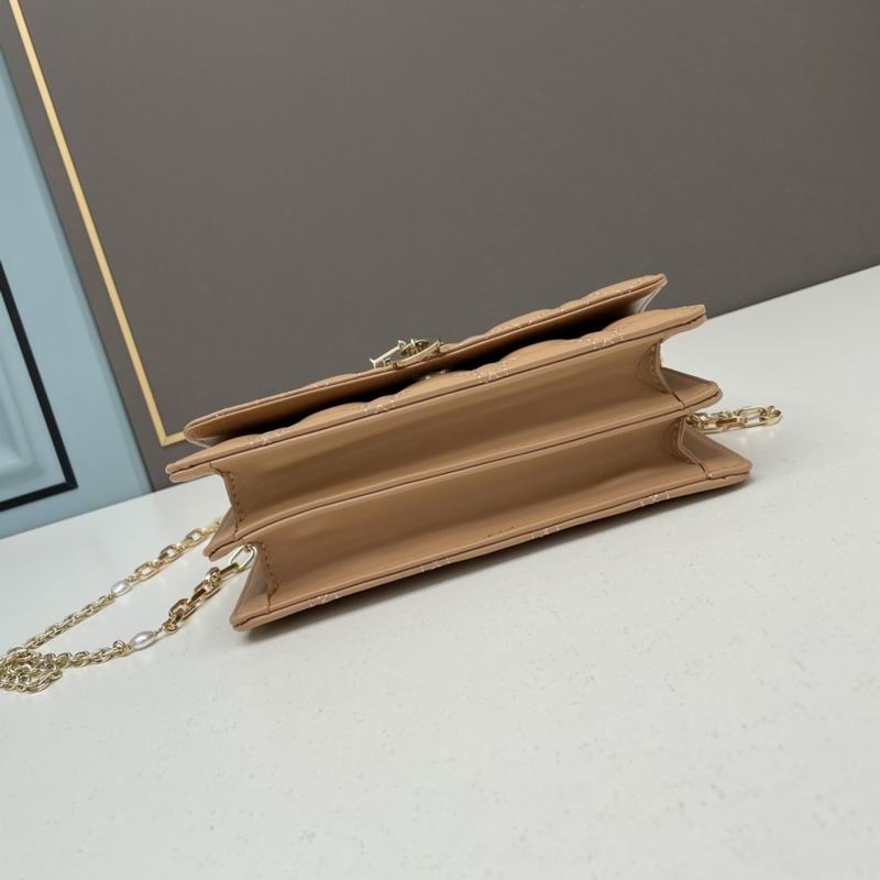 Dior Lady 21x11.5x4.5cm ww5色 (35)