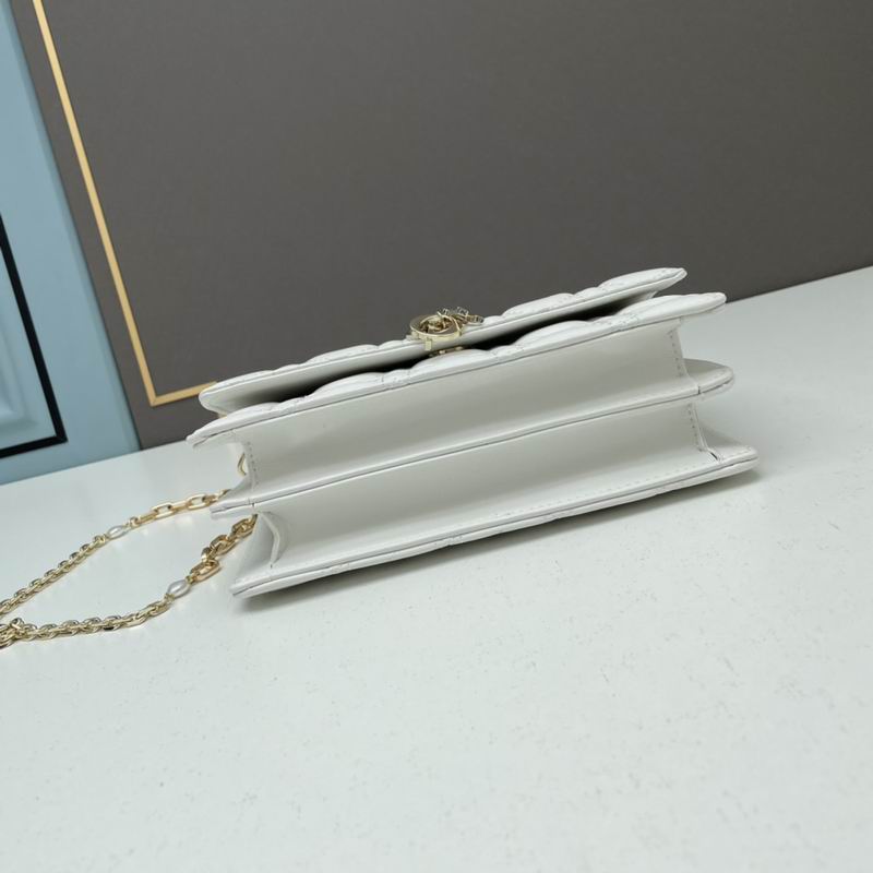 Dior Lady 21x11.5x4.5cm ww5色 (4)