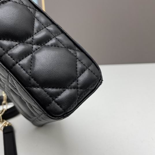 Dior Lady D-Joy 1385 21x12x7cm ww4色 (5)