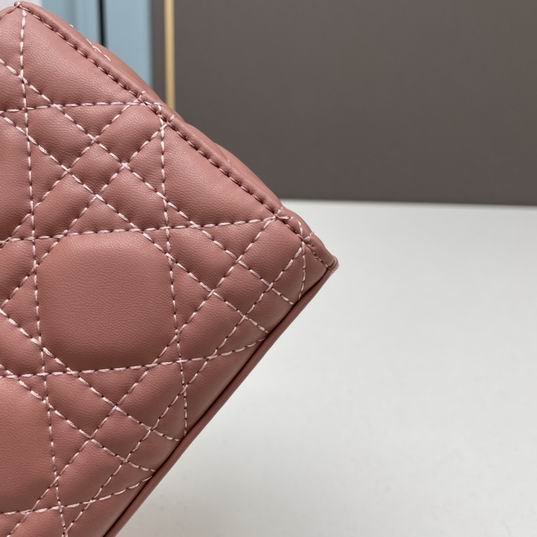 Dior Lady D-Joy 21x12x7cm ww4色 (12)