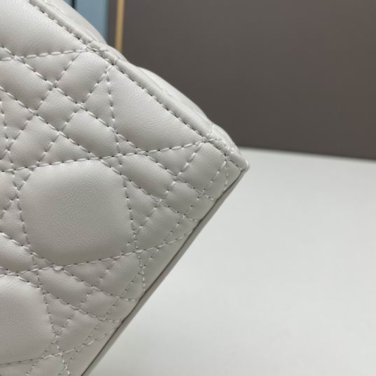 Dior Lady D-Joy 21x12x7cm ww4色 (28)