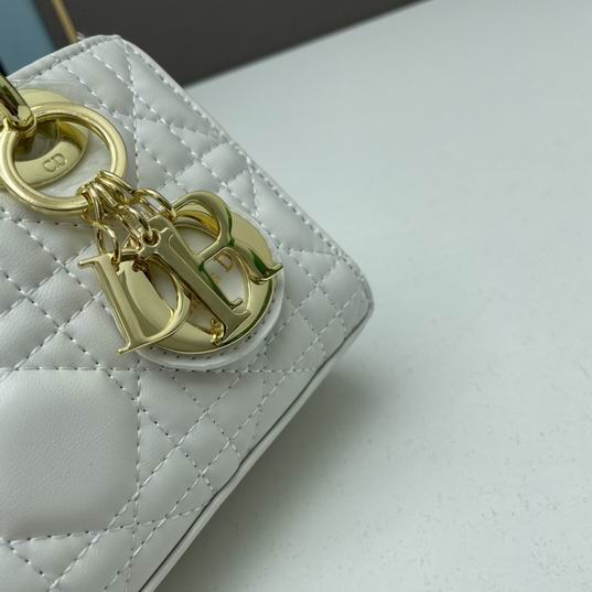 Dior Lady D-Joy 21x12x7cm ww4色 (29)
