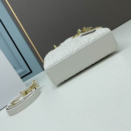 Dior Lady D-Joy 21x12x7cm ww4色 (30)