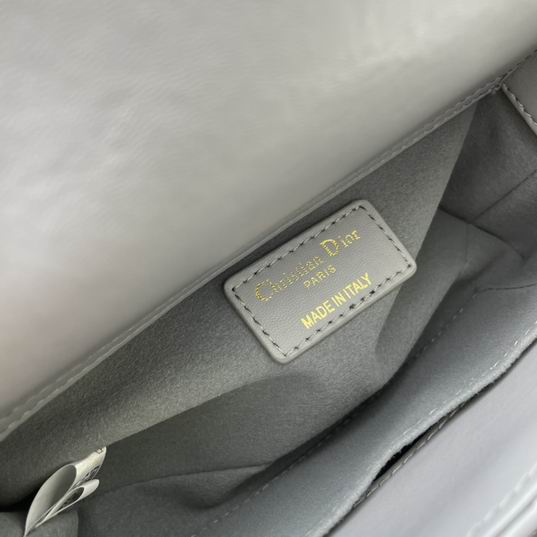 Dior Lady D-Joy 21x12x7cm ww4色 (7)