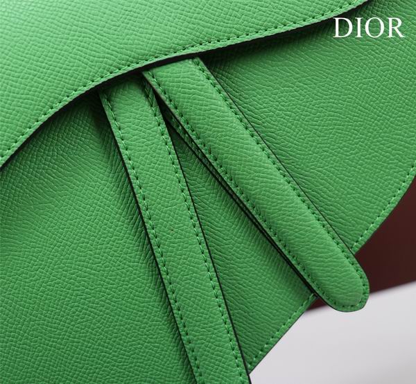 Dior M0446手掌纹 25.5x20x6.5cm CN7色 (17)