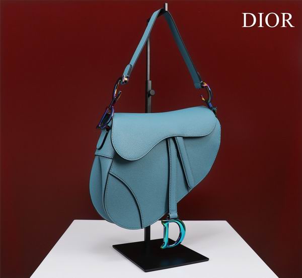 Dior M0446手掌纹 25.5x20x6.5cm CN7色 (2)