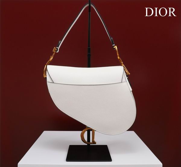 Dior M0446手掌纹 25.5x20x6.5cm CN7色 (20)