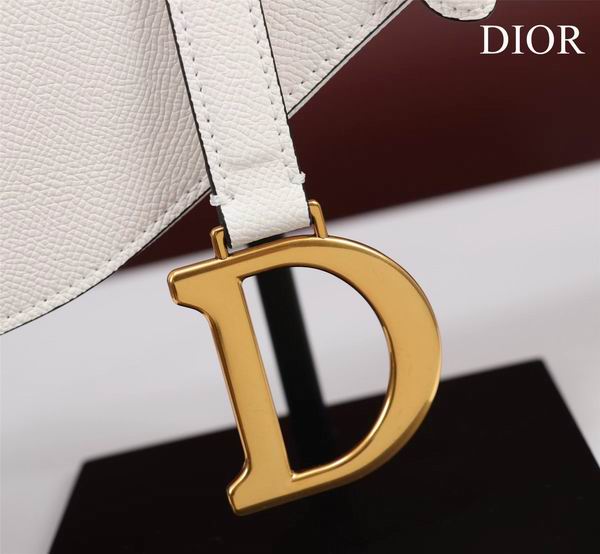 Dior M0446手掌纹 25.5x20x6.5cm CN7色 (24)