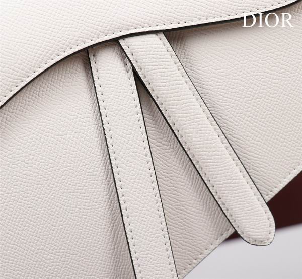 Dior M0446手掌纹 25.5x20x6.5cm CN7色 (25)