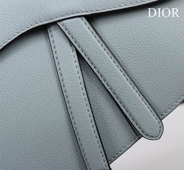Dior M0446手掌纹 25.5x20x6.5cm CN7色 (32)