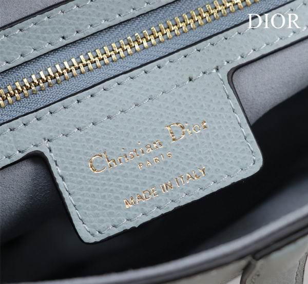 Dior M0446手掌纹 25.5x20x6.5cm CN7色 (34)