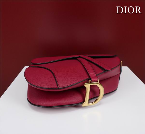Dior M0446手掌纹 25.5x20x6.5cm CN7色 (38)