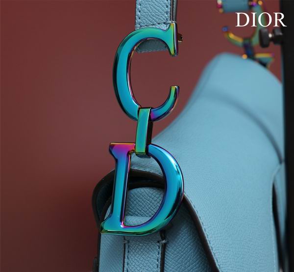 Dior M0446手掌纹 25.5x20x6.5cm CN7色 (6)