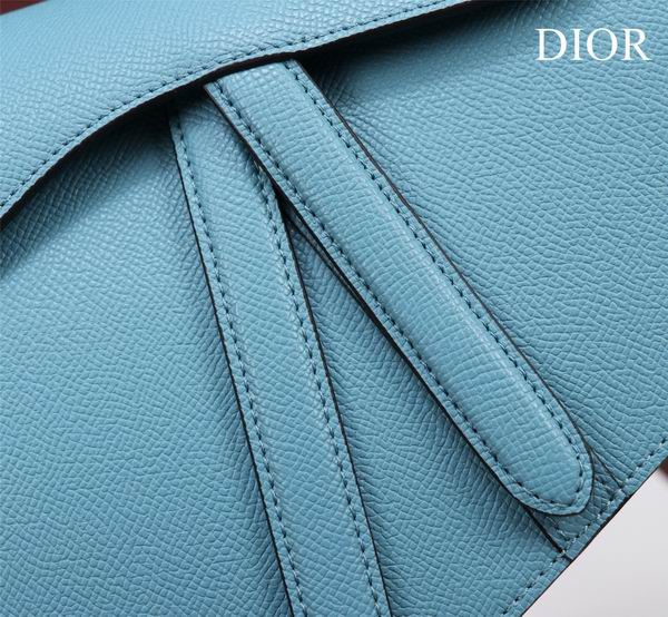 Dior M0446手掌纹 25.5x20x6.5cm CN7色 (8)
