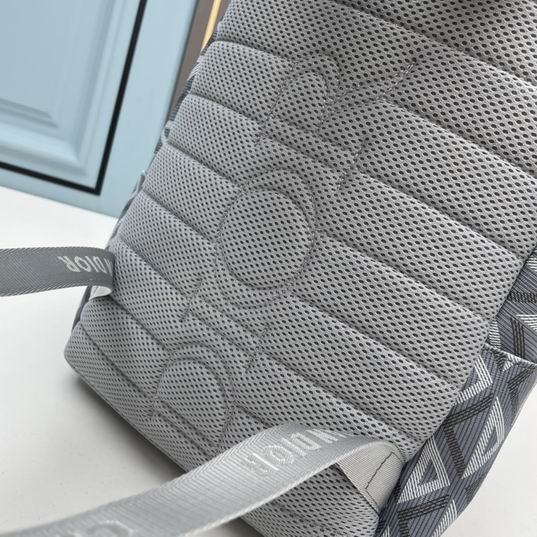 Dior Oblique 7008 28x14x36cm ww2色 (16)