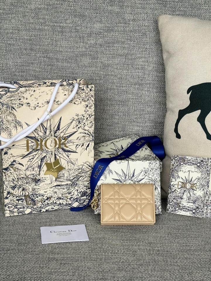 Dior S0011 10.5x7.5x2.5cm zy1_1