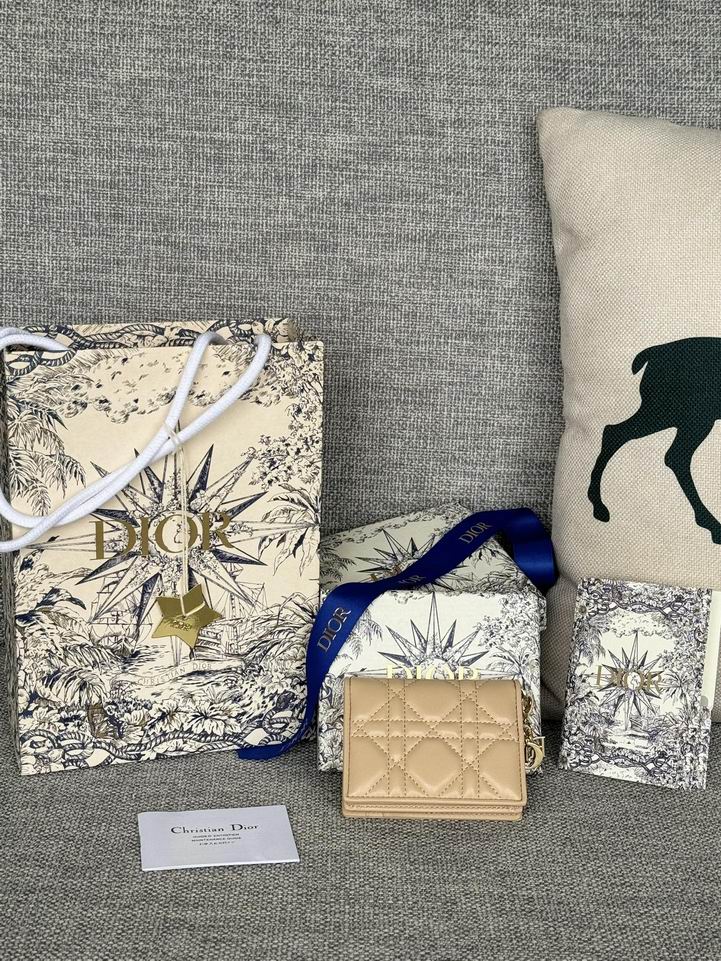 Dior S0011 10.5x7.5x2.5cm zy1_2