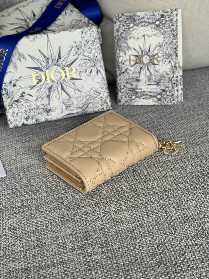 Dior S0011 10.5x7.5x2.5cm zy1_3