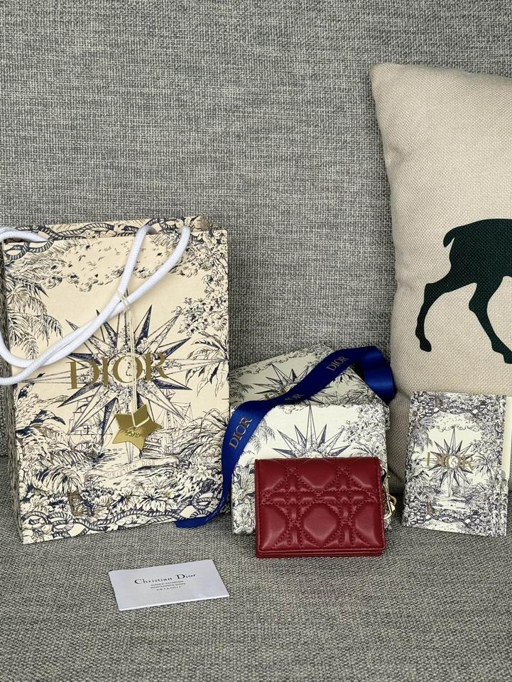 Dior S0011 10.5x7.5x2.5cm zy2_2