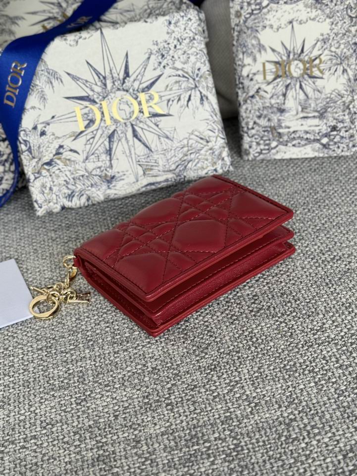 Dior S0011 10.5x7.5x2.5cm zy2_4