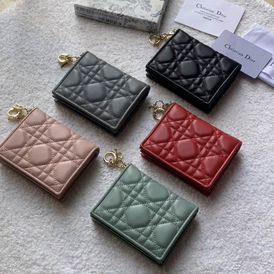 Dior S0178 11x9cm zy (1)