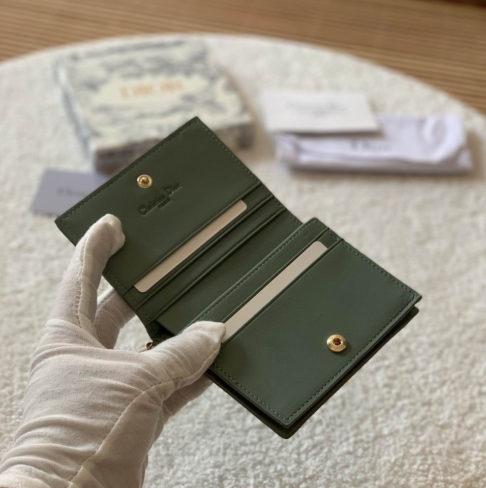 Dior S0178 11x9cm zy (10)