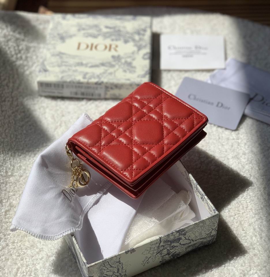 Dior S0178 11x9cm zy (11)