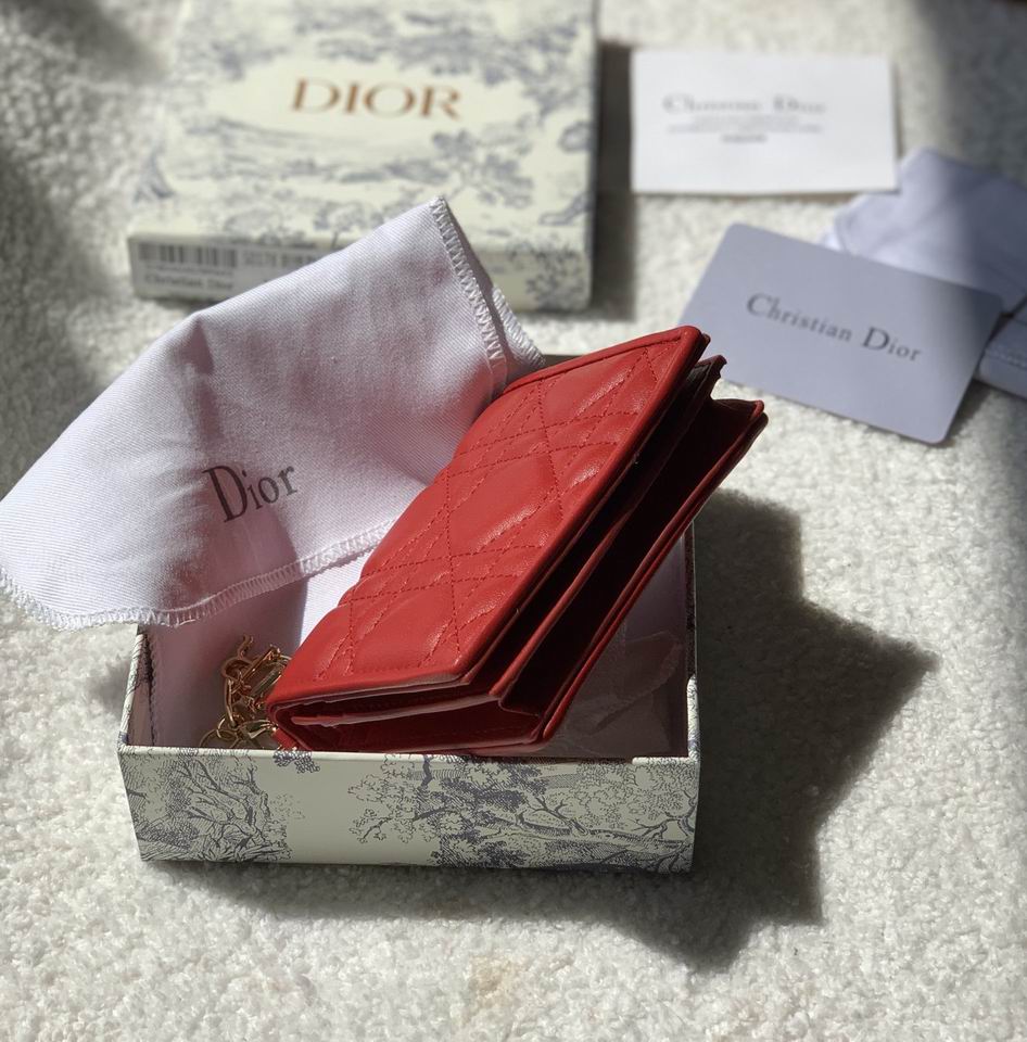 Dior S0178 11x9cm zy (17)