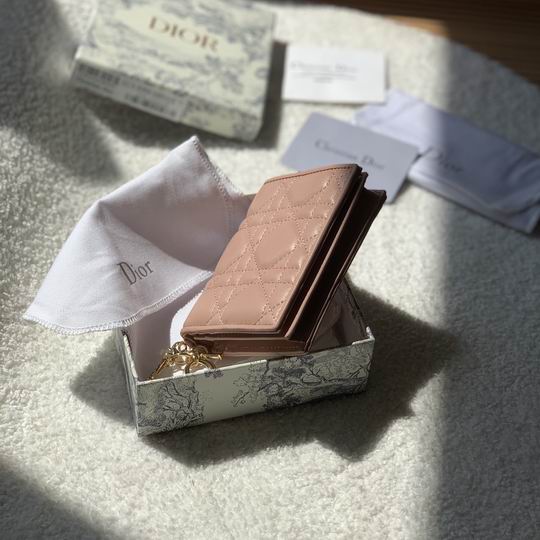 Dior S0178 11x9cm zy (22)